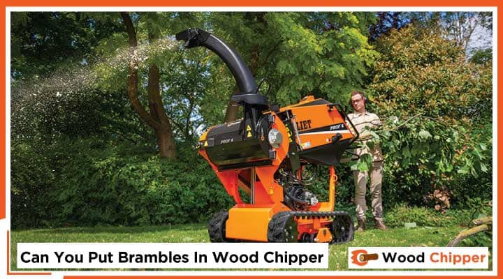 Can You Put Brambles In A Wood Chipper
