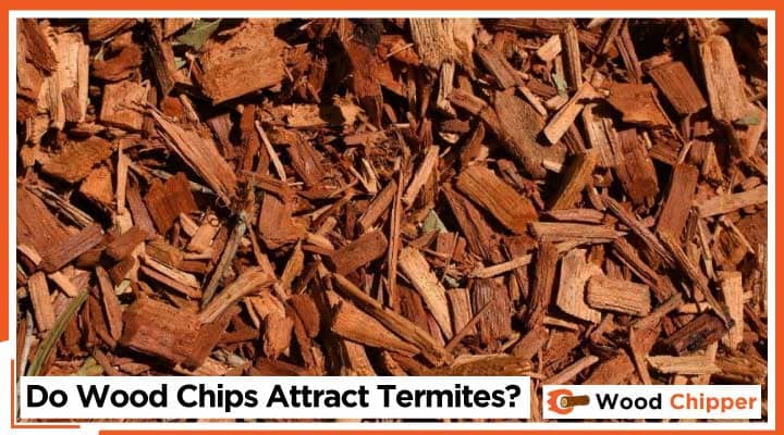 Do Wood Chips Attract Termites