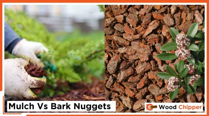 Mulch Vs Bark Nuggets