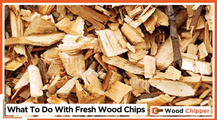 What To Do With Fresh Wood Chips